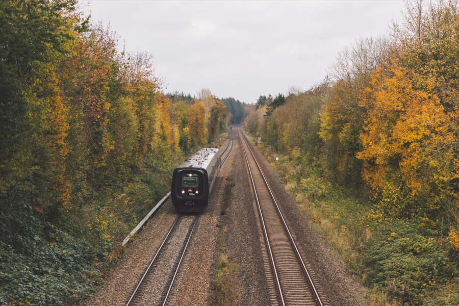 InterCity train passing through forest